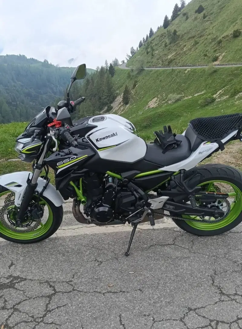 Kawasaki Z 650 (2021 - 24) (4)