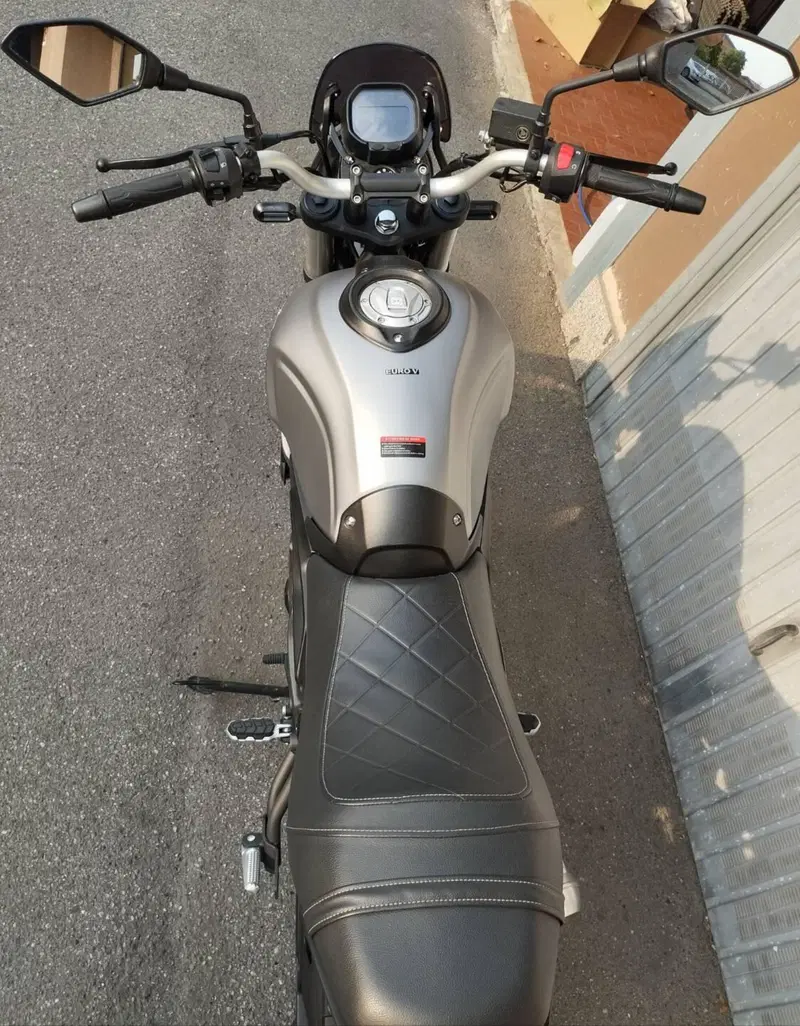 Voge Trofeo 300ACX Scrambler (2021 - 26) (3)