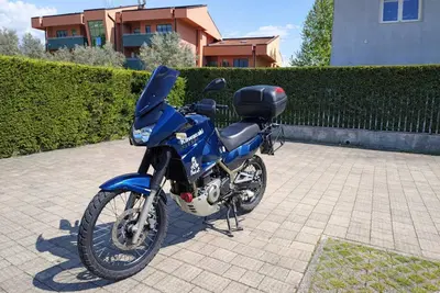 Kawasaki KLE 500 (2005 - 06) usata