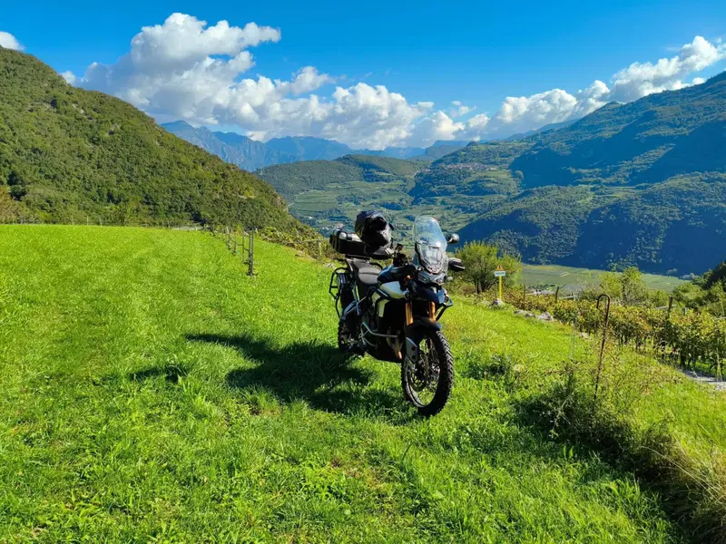 Triumph Tiger 900 Rally Pro (2020 - 23) (3)