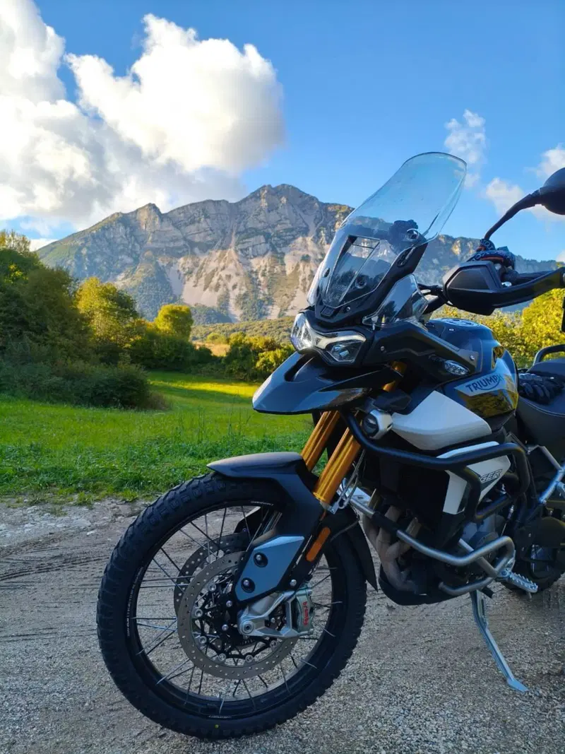 Triumph Tiger 900 Rally Pro (2020 - 23) (6)