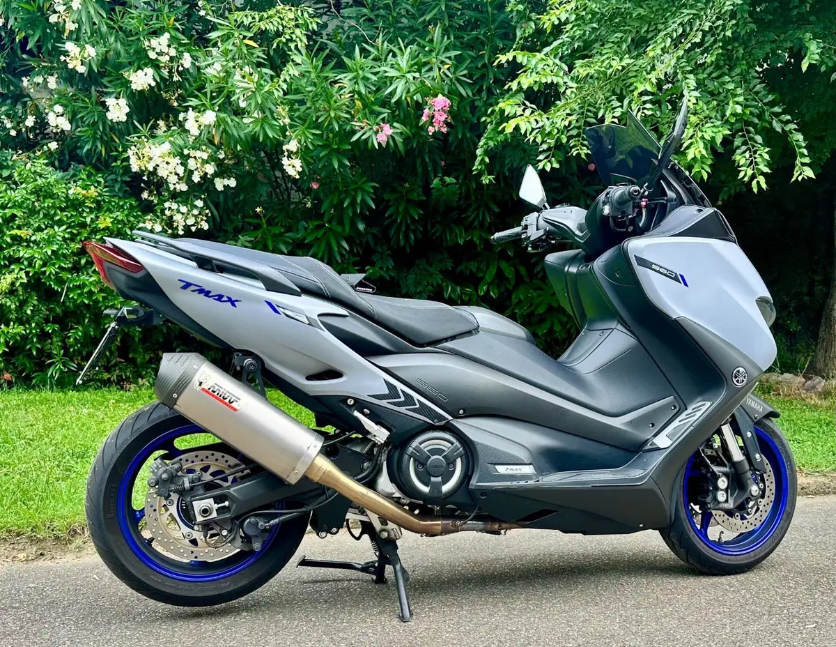 Yamaha T-Max 560 (2020 - 21) (16)