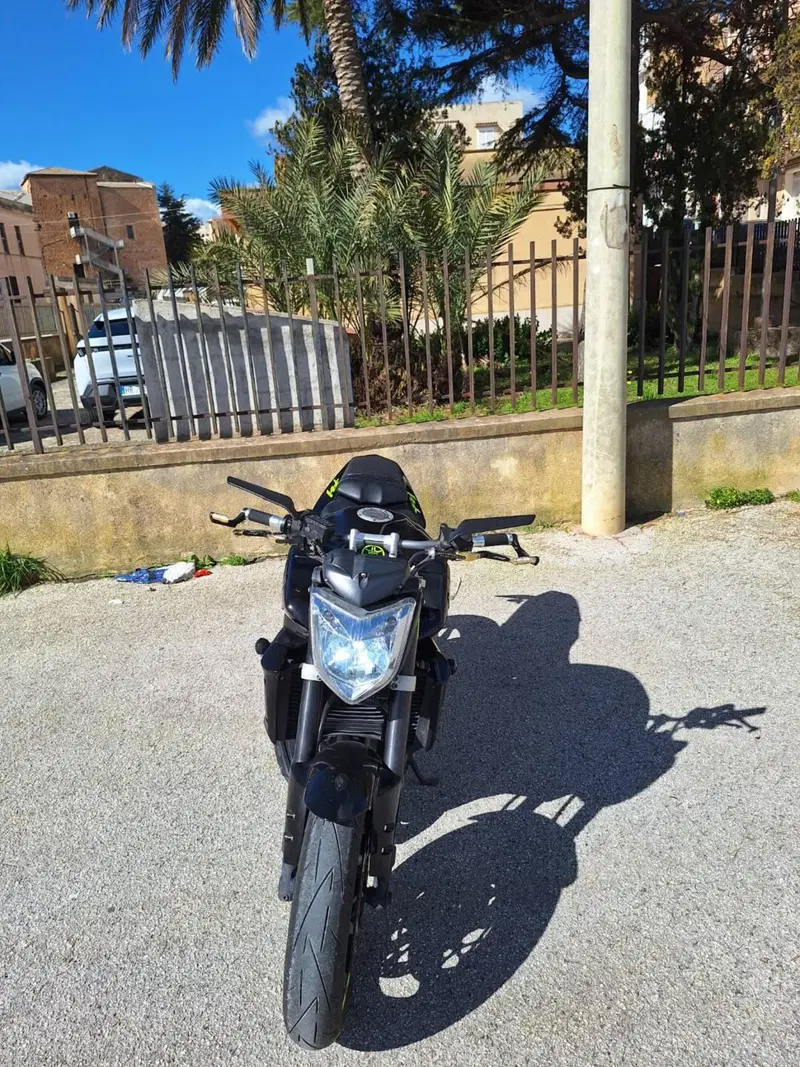 Yamaha FZ1 (2006 - 16) (3)