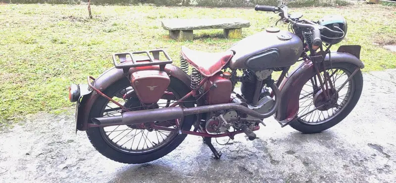 C.M. 350 (3)