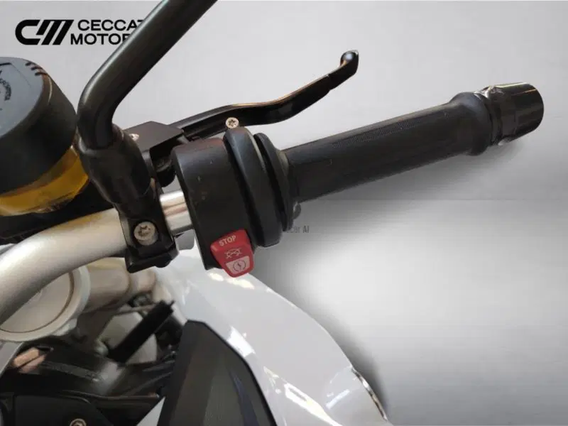 Bmw F 800 R (2015 - 16) (11)