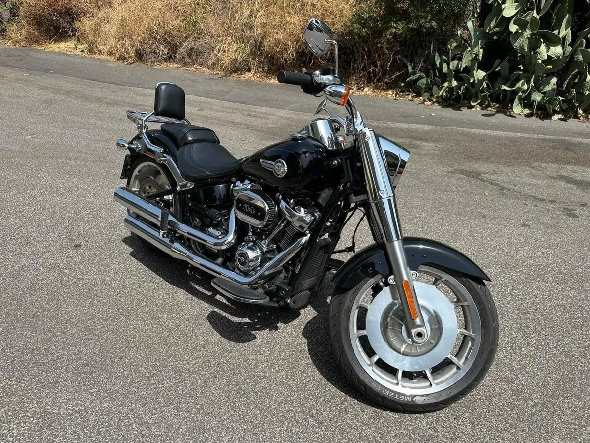 Harley-Davidson Fat Boy 114 (2021 - 24) (11)