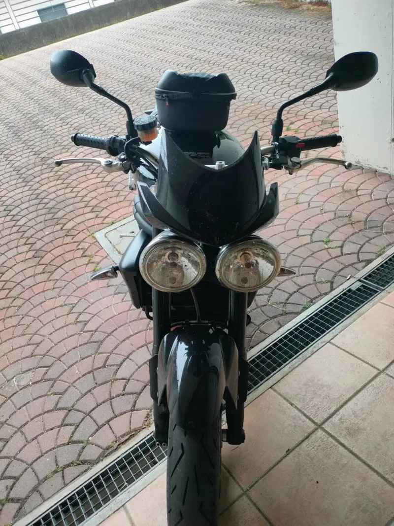 Triumph Speed Triple 1050 (2005 - 11) (2)