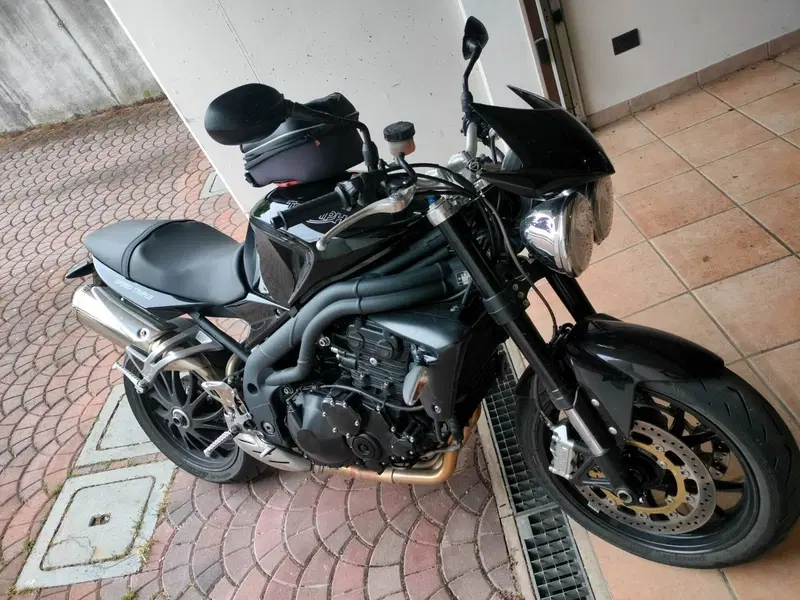 Triumph Speed Triple 1050 (2005 - 11) (3)