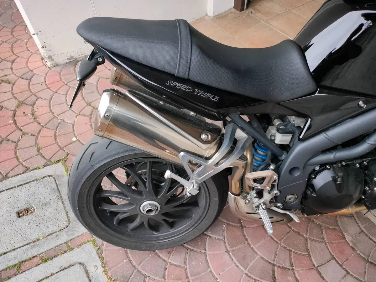 Triumph Speed Triple 1050 (2005 - 11) (4)