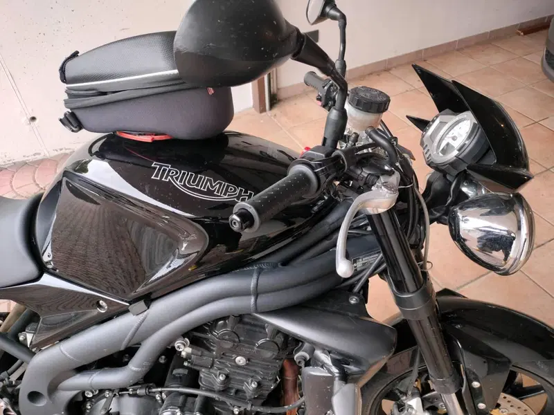 Triumph Speed Triple 1050 (2005 - 11) (6)