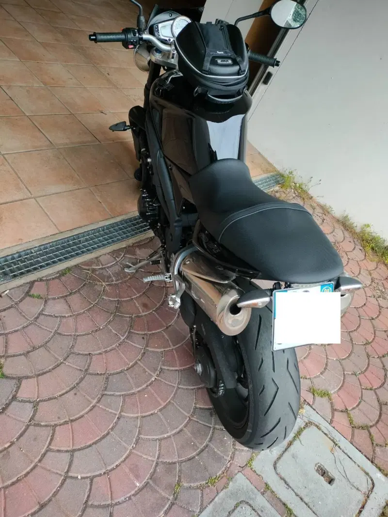 Triumph Speed Triple 1050 (2005 - 11) (8)