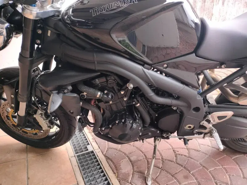 Triumph Speed Triple 1050 (2005 - 11) (9)