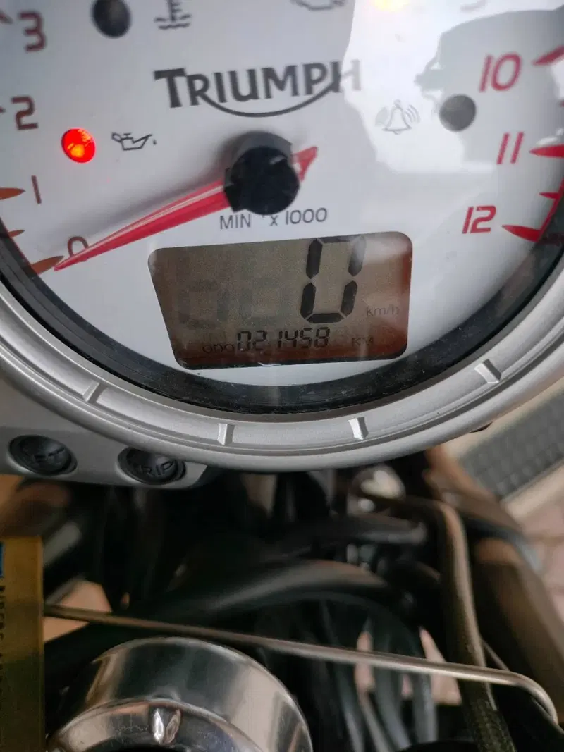 Triumph Speed Triple 1050 (2005 - 11) (12)