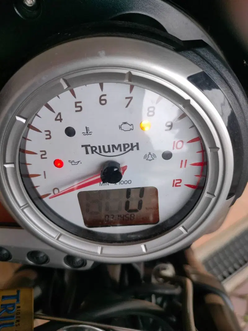 Triumph Speed Triple 1050 (2005 - 11) (13)