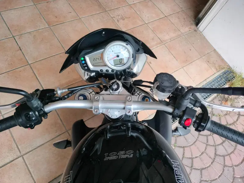 Triumph Speed Triple 1050 (2005 - 11) (14)