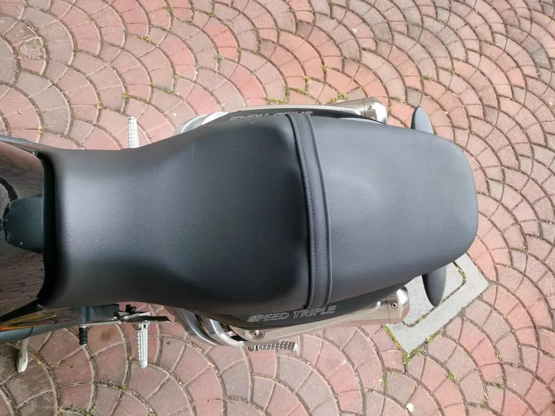 Triumph Speed Triple 1050 (2005 - 11) (15)