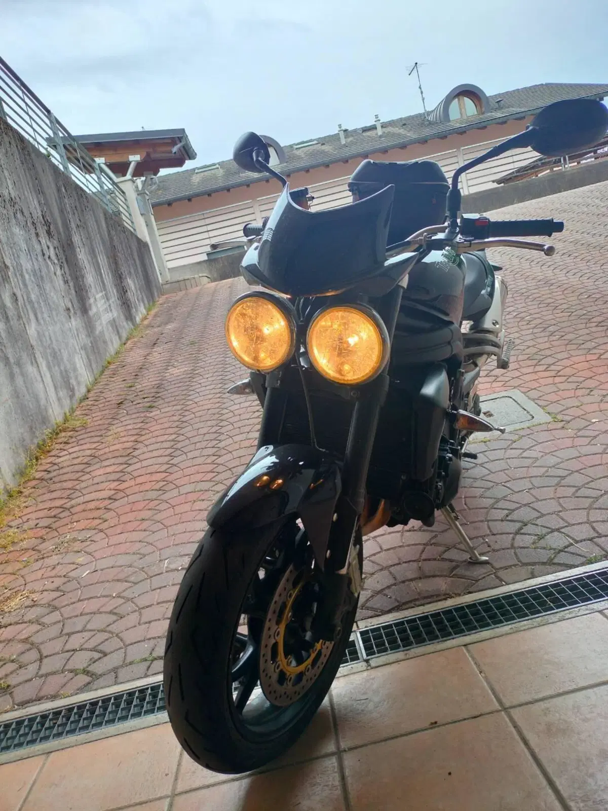 Triumph Speed Triple 1050 (2005 - 11) (17)
