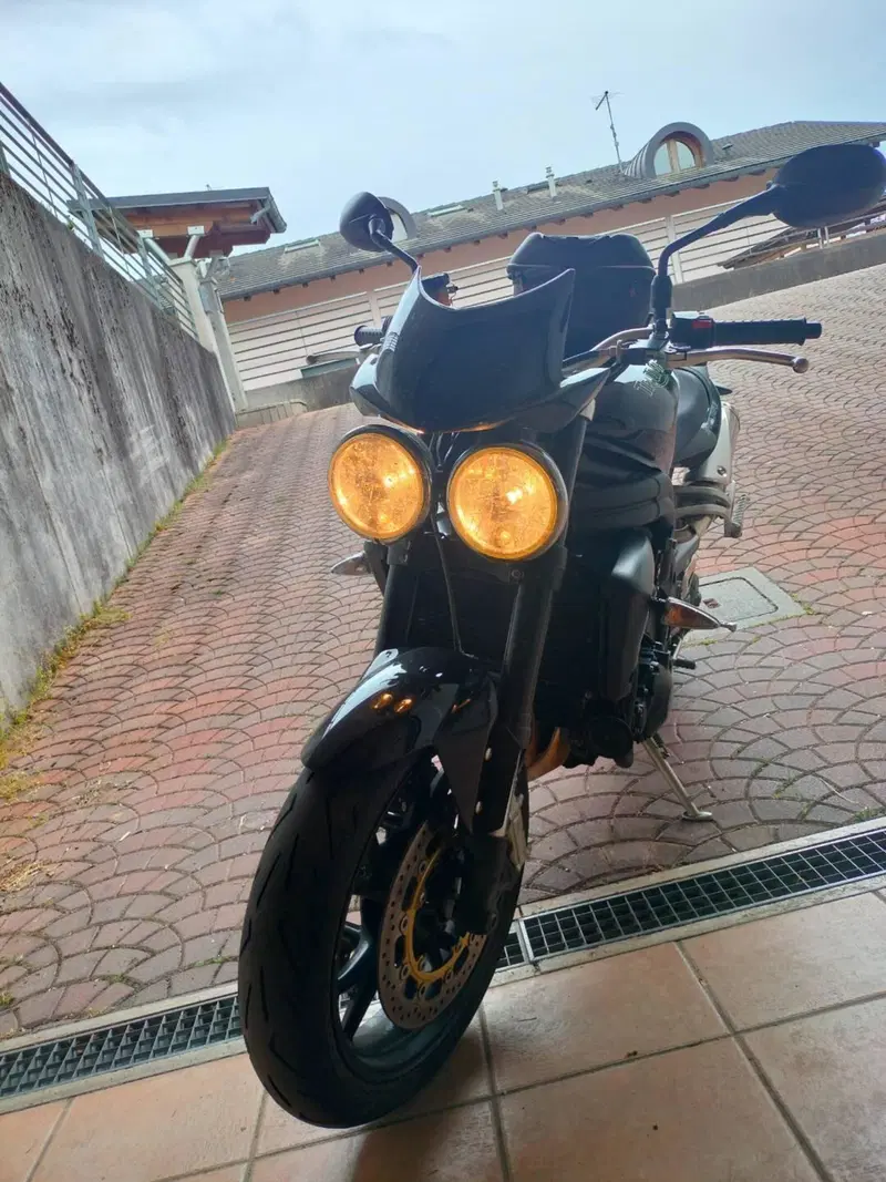 Triumph Speed Triple 1050 (2005 - 11) (17)
