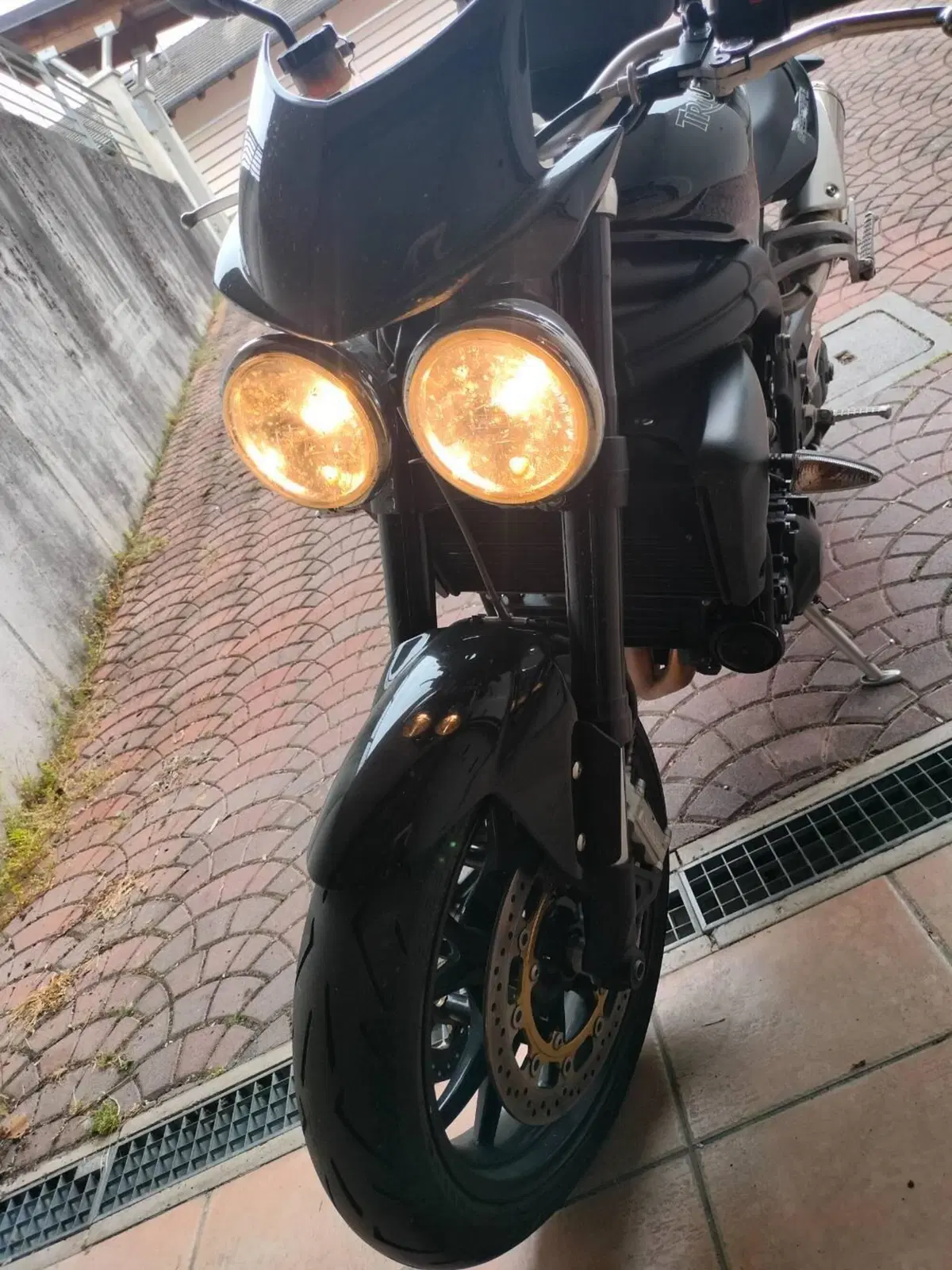 Triumph Speed Triple 1050 (2005 - 11) (18)