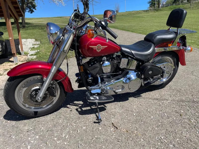 Harley-Davidson FLSTF FAT BOY (7)