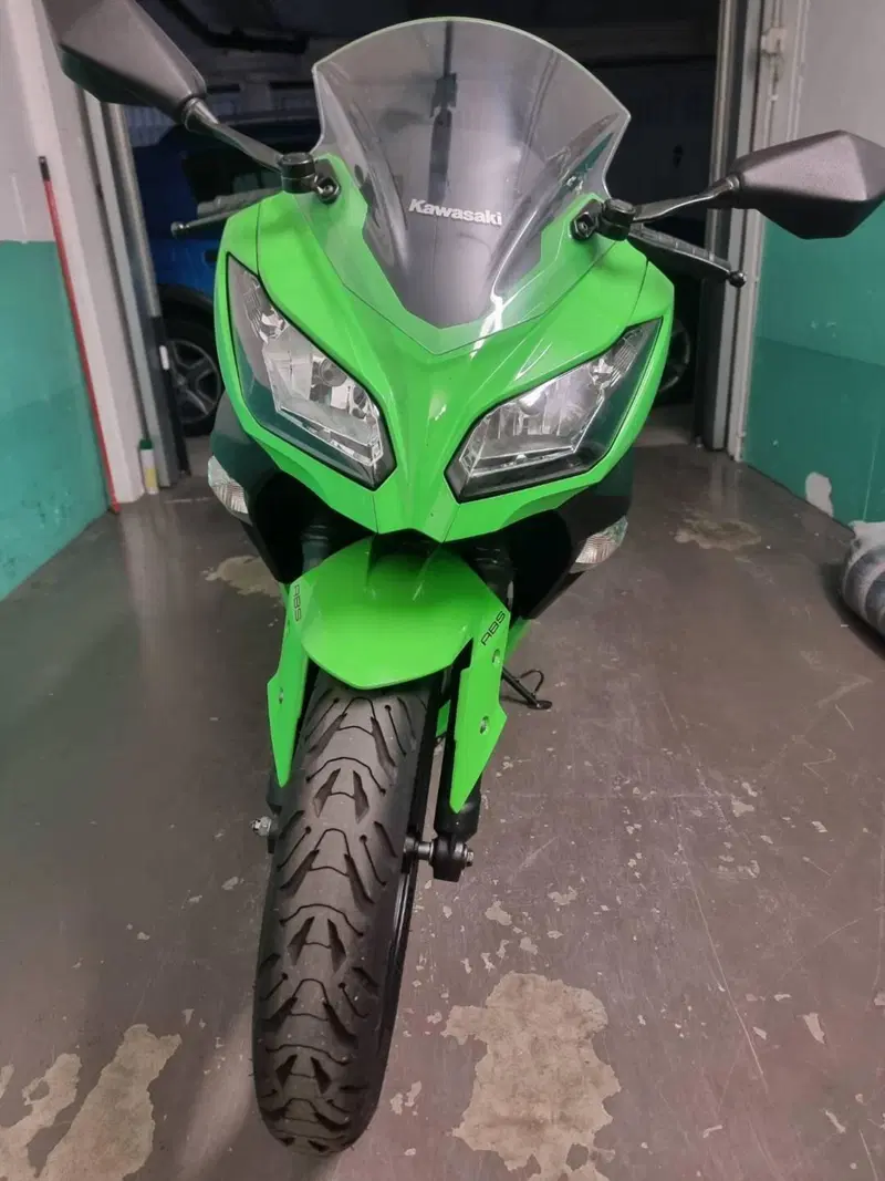 Kawasaki Ninja 300 ABS (2012 - 16)