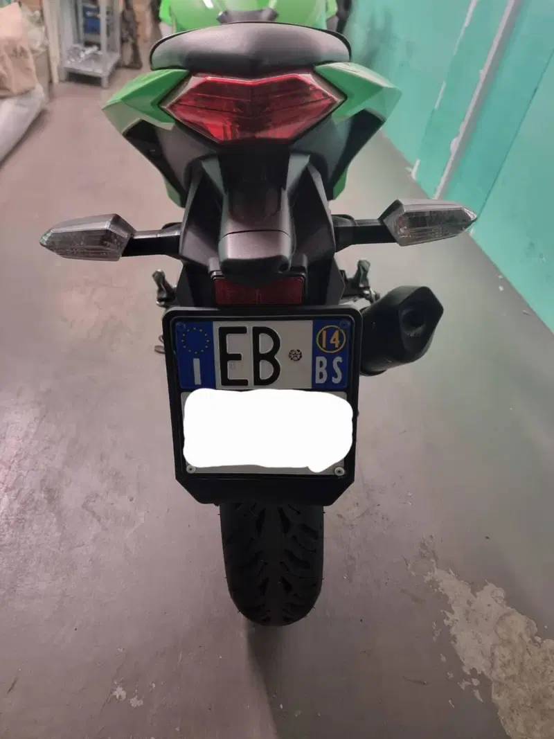 Kawasaki Ninja 300 ABS (2012 - 16) (2)