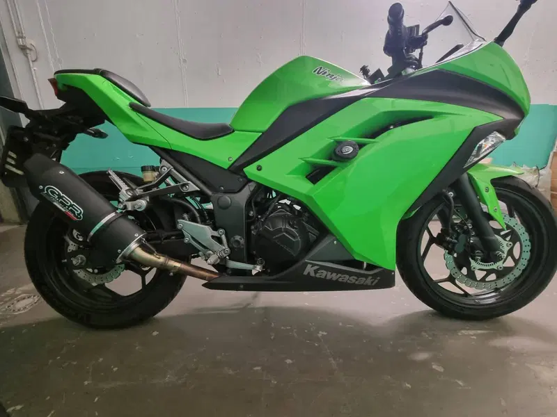 Kawasaki Ninja 300 ABS (2012 - 16) (4)