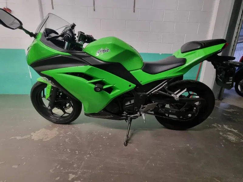 Kawasaki Ninja 300 ABS (2012 - 16) (5)