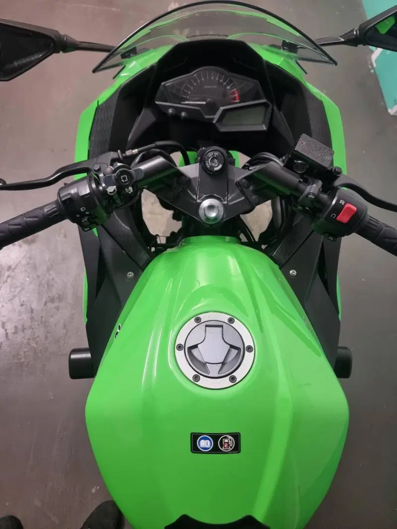 Kawasaki Ninja 300 ABS (2012 - 16) (7)