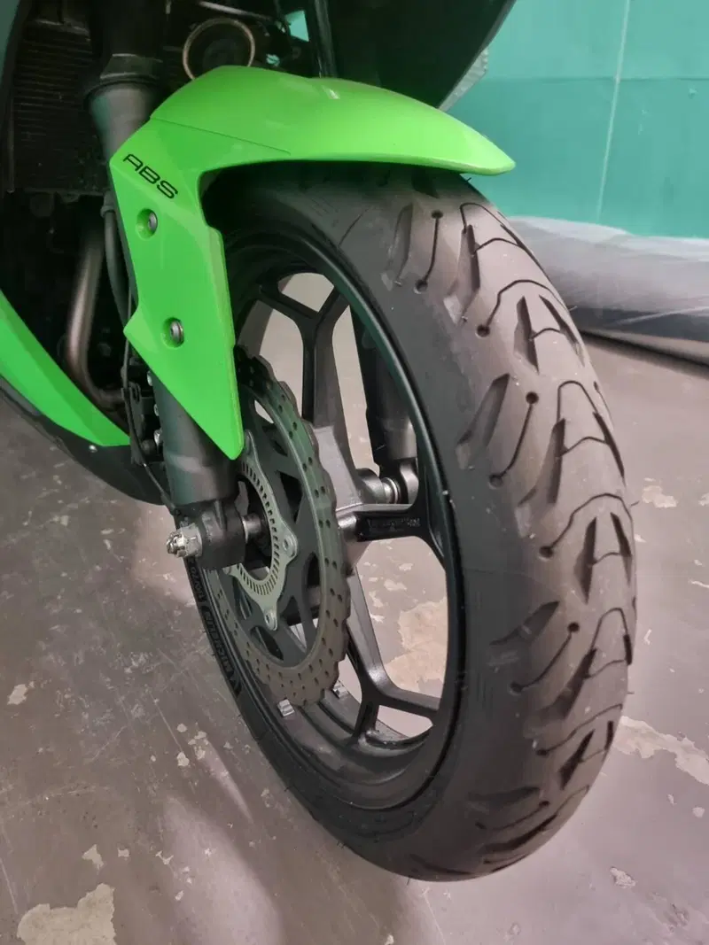 Kawasaki Ninja 300 ABS (2012 - 16) (10)