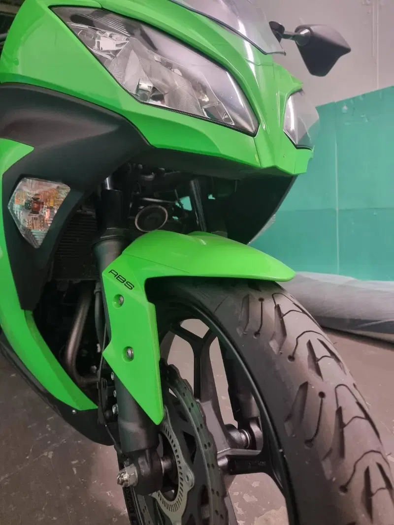 Kawasaki Ninja 300 ABS (2012 - 16) (11)
