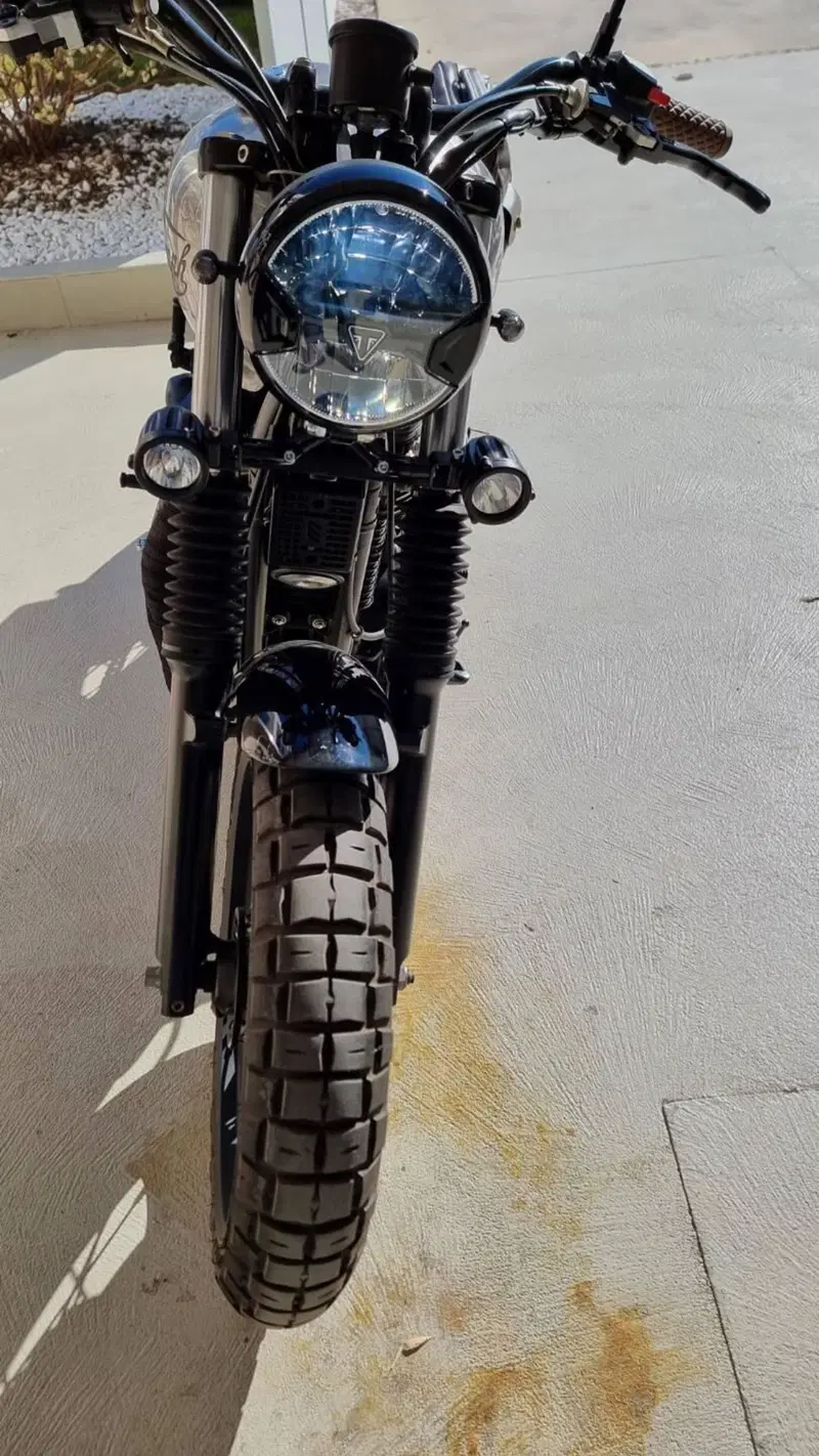 Triumph Bonneville SE (2009 - 13) (4)