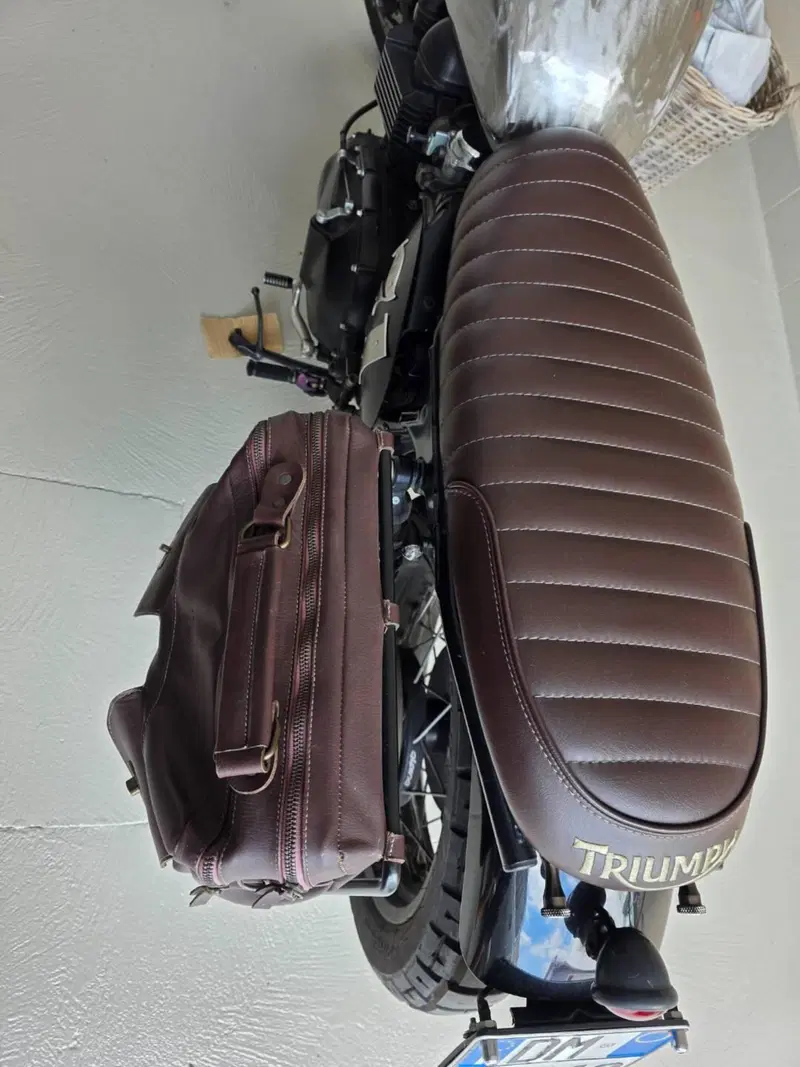 Triumph Bonneville SE (2009 - 13) (7)