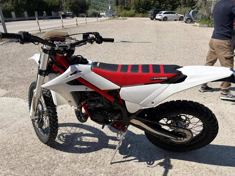 Betamotor Xtrainer 300 2t (2015 - 16) (2)