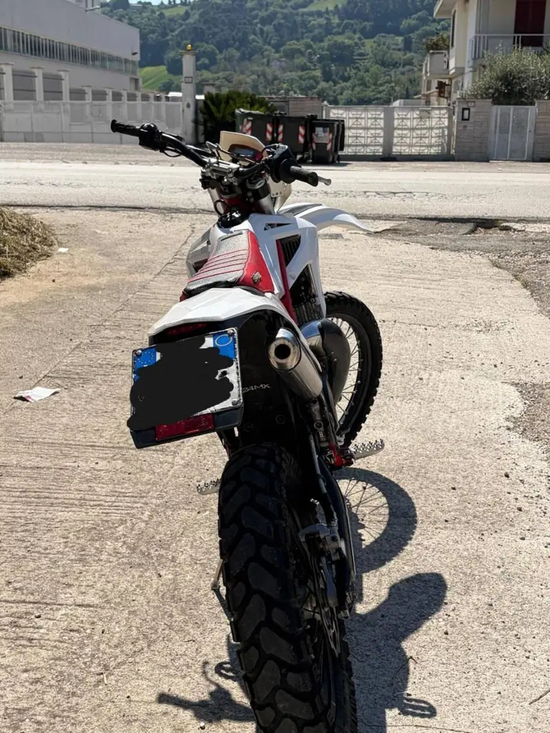 Betamotor Xtrainer 300 2t (2015 - 16) (9)