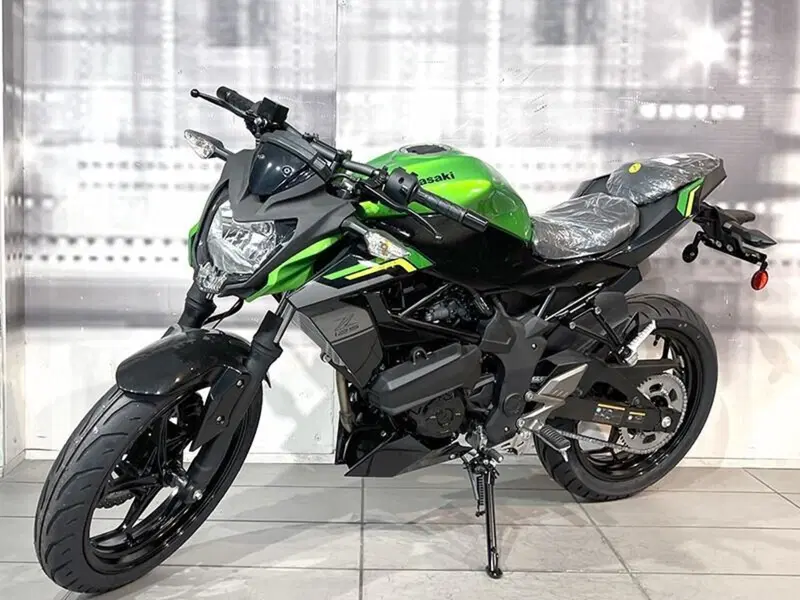 Kawasaki Z 125 (2025 - 26) (7)