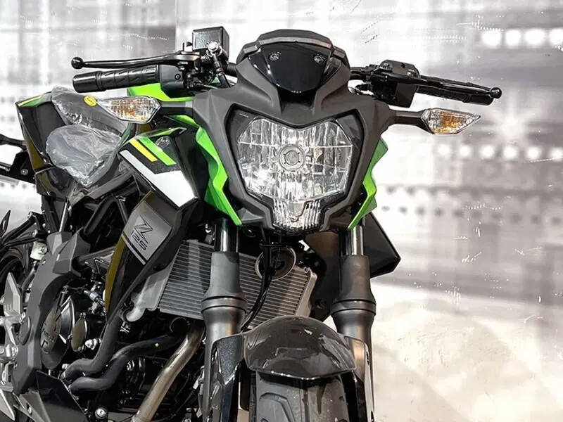 Kawasaki Z 125 (2025 - 26) (9)