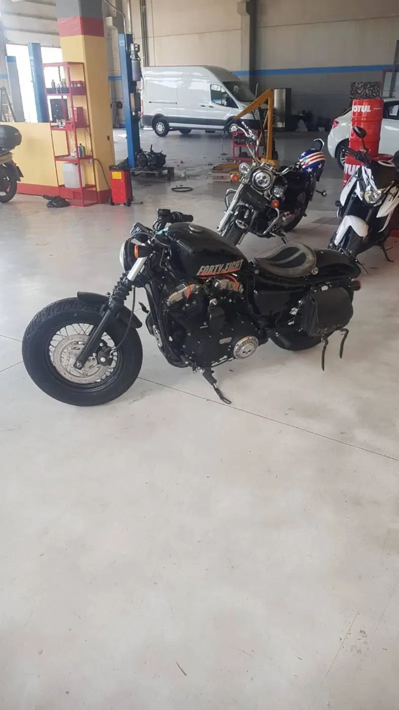 Harley-Davidson 1200 Forty-Eight (2010 - 15) (3)