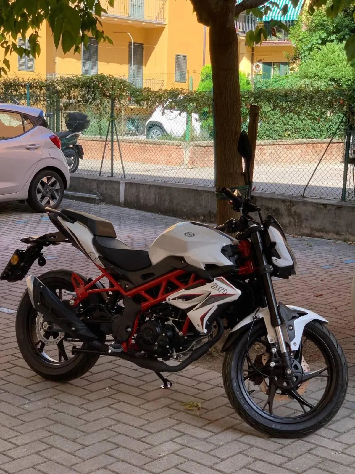 Benelli BN 125 (2021 - 25) (2)