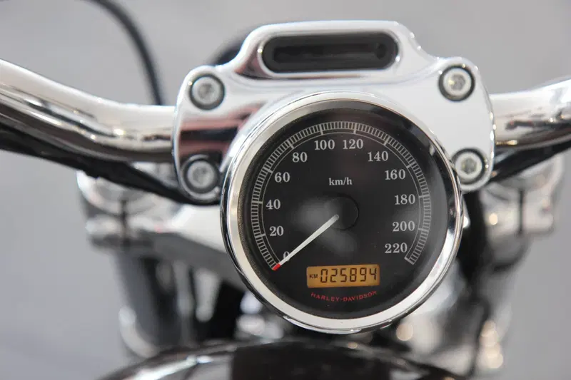 Harley-Davidson 1200 Custom (2007 - 13) - XL 1200C (13)