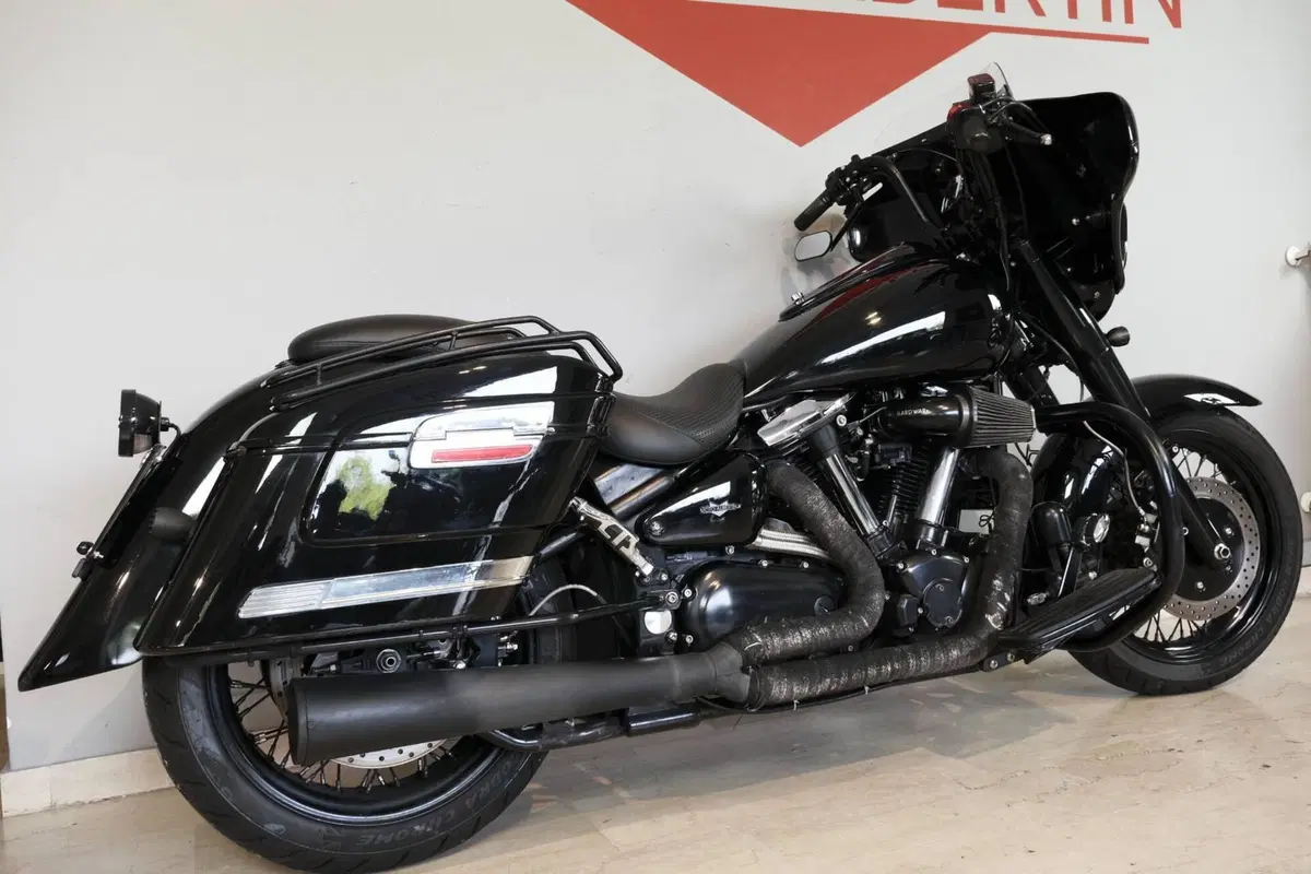 Yamaha XVS 1600 Wild Star (3)
