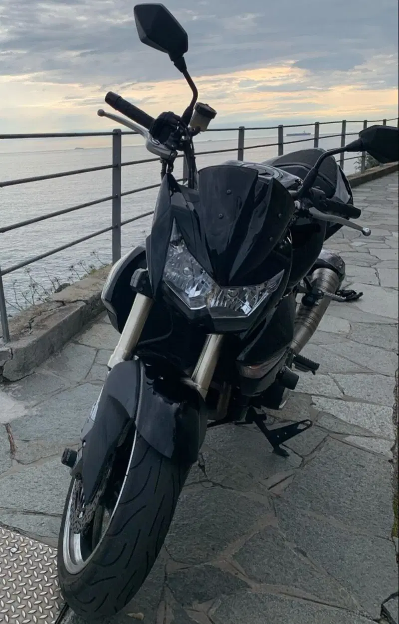 Kawasaki Z 1000 (2007 - 09) (7)