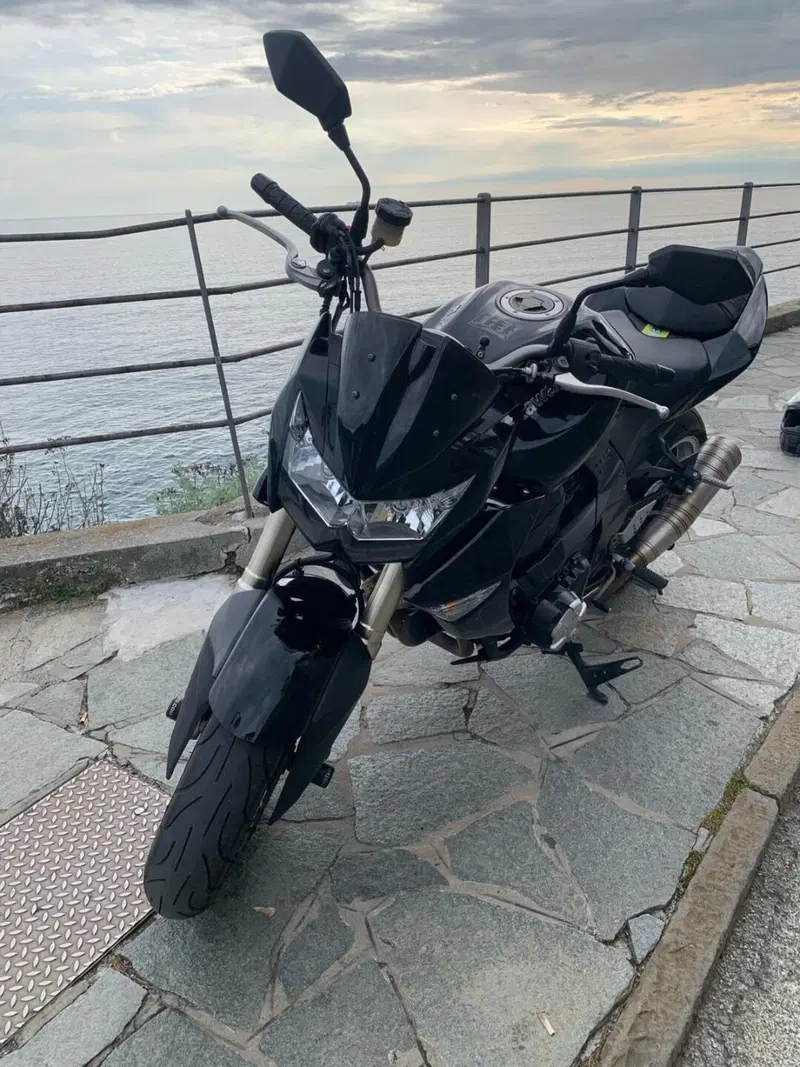 Kawasaki Z 1000 (2007 - 09) (8)