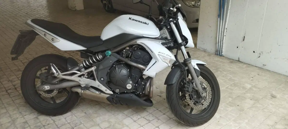 Kawasaki ER-6N (2006 - 09) (2)