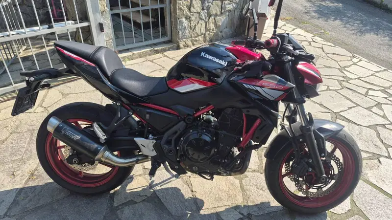 Kawasaki Z 650 (2021 - 24)