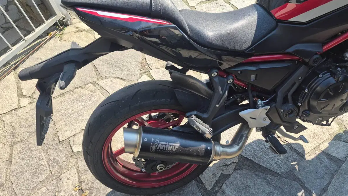 Kawasaki Z 650 (2021 - 24) (5)