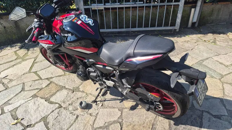 Kawasaki Z 650 (2021 - 24) (6)