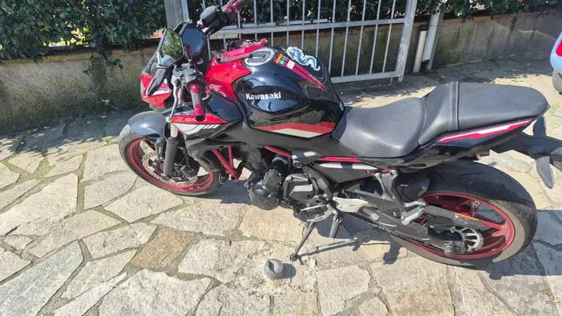 Kawasaki Z 650 (2021 - 24) (7)