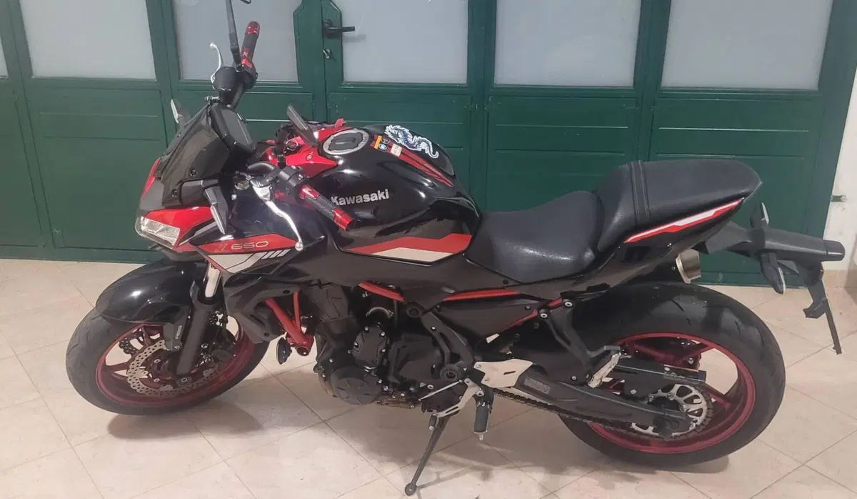 Kawasaki Z 650 (2021 - 24) (8)