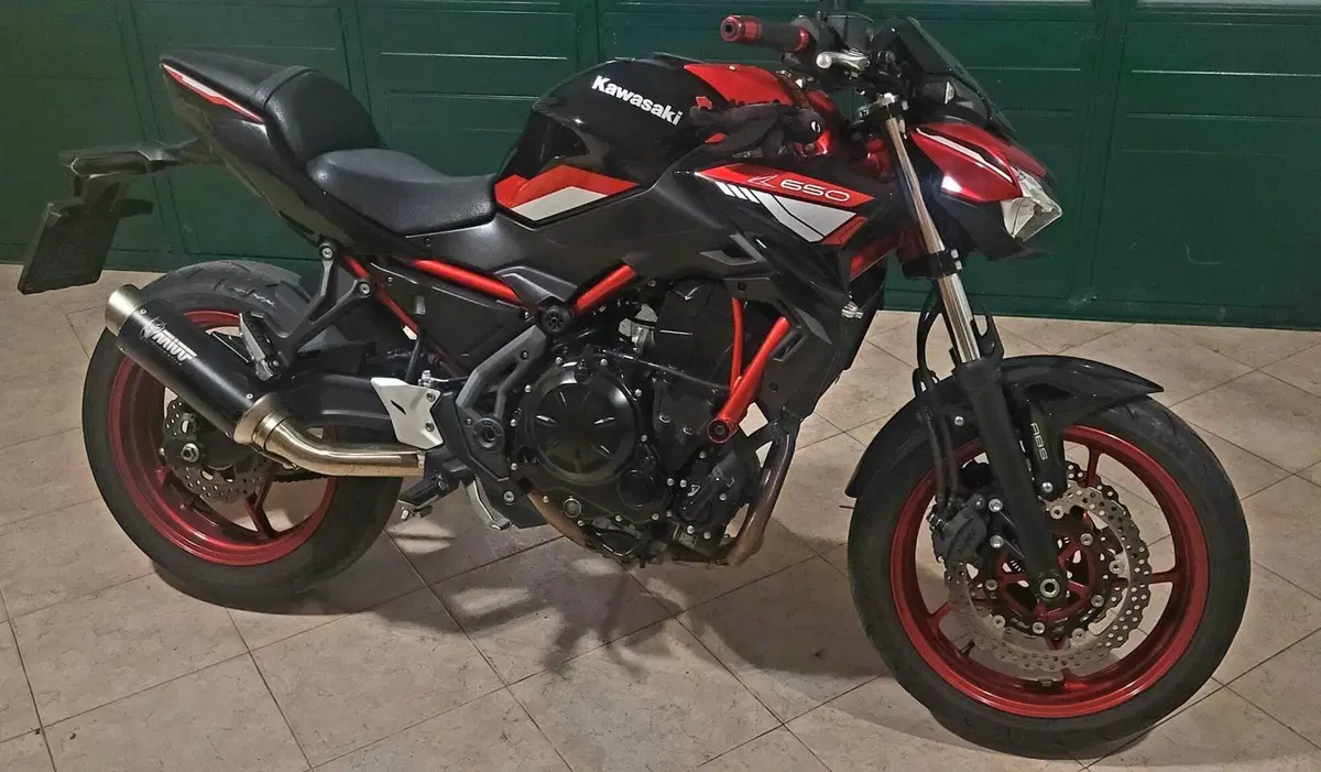 Kawasaki Z 650 (2021 - 24) (11)